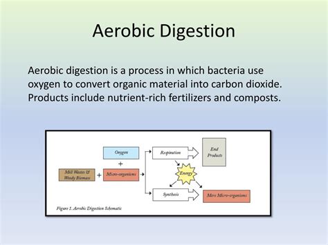 PPT - Woody Biomass Overview PowerPoint Presentation, free download ...