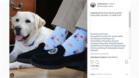 LOOK: Sully makes his debut on Bush 41 socks | newscentermaine.com