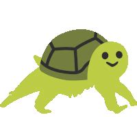 Turtle GIFs | Tenor