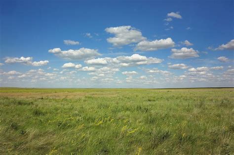 Temperate Grasslands African Grasslands