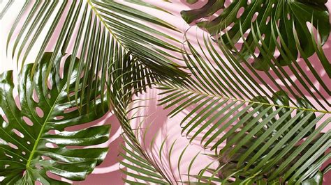 INSPIRATION 16 / PINK AND GREEN — Weekend Creative Laptop Wallpaper ...