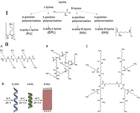 Polylysine structures. I) Lysine structure and polylysine formation II ...