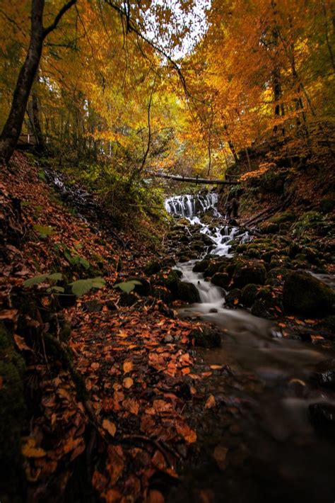 4 Favorite Ways to Enjoy the Gatlinburg TN Fall Colors | Smoky ...