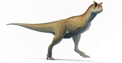 New armless abelisaur dinosaur species discovered in Argentina ...