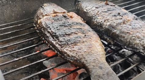 Grilled Tilapia Recipe Recipe | Recipes.net