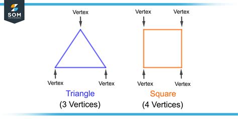 Vertices | Definition & Meaning