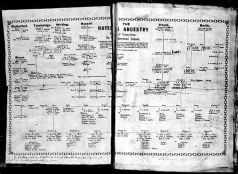 rutherford b hayes family tree - cantaramallegni