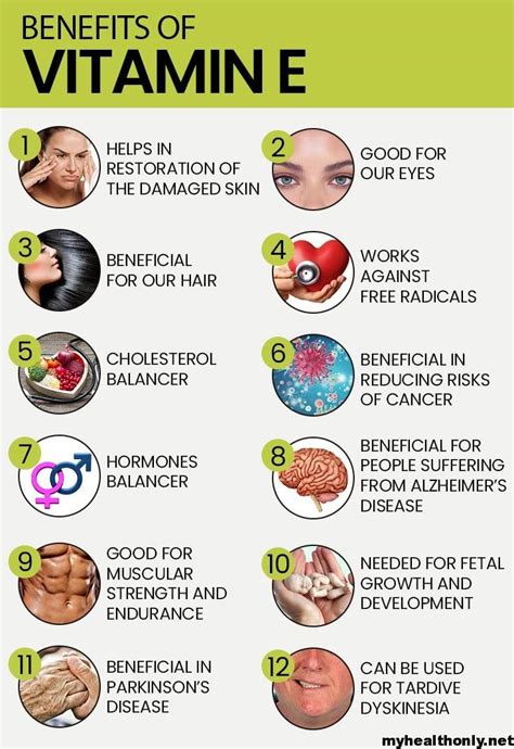 10 Useful Health Benefits of Vitamin E, You must to know - My Health Only