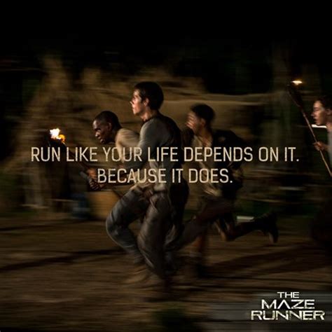 'Maze Runner' promotional images feature quotes from the book | Maze ...