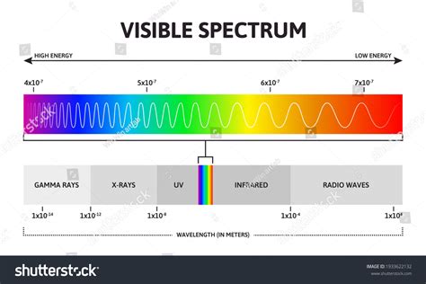 575 Visible Light Spectrum Wavelength Frequency Images, Stock Photos ...