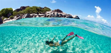 Snorkeling in Seychelles | Spectacular Marine Life, Clear Waters