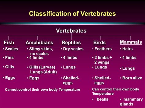 Vertebrates - Study Material for NEET (AIPMT) & Medical Exams | askIITians