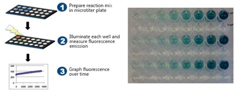 Enzyme Activity Assay - Profacgen