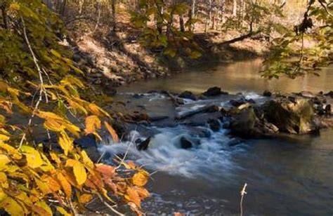 Campground Details - Hard Labor Creek State Park, GA - Georgia State ...