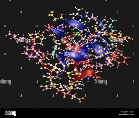 3D computer generated molecular model of human insulin monomeric form ...