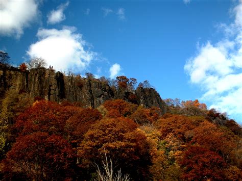 Palisades State Park, a New York State Park located near Astoria ...