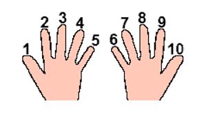 Math Teachers Should Encourage Their Students to Count Using Fingers