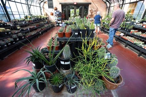 Shop plants at these eight Tucson spots this spring 2024 | to do ...