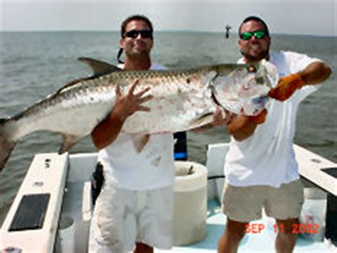 Tybee Island Savannah Fishing Spots and Fishing Map