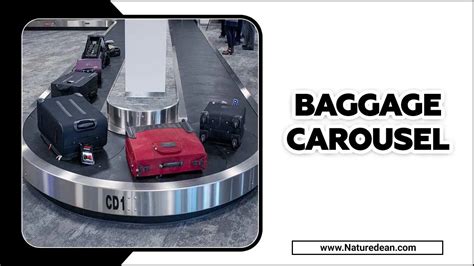 Baggage Carousel - A Traveler's Essential