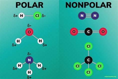 Polar and Nonpolar Molecules - ElaineqoKnox