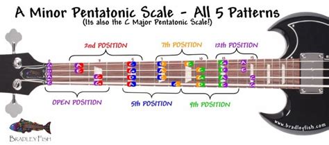 For the BASSISTS!!! The A Minor Pentatonic Scale - All positions ...