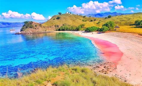 Promo Merdeka, Ke Labuan Bajo & Eksplor Pulau Komodo Ada Potongan Harga ...