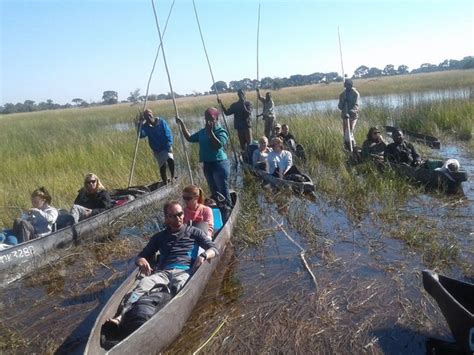 3-Day Fully Catered Mokoro (Canoe) Safari Okavango Delta - TripMyCity