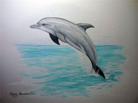 Drawn dolphin pencil sketch #7 (With images) | Dolphin drawing, Dolphin ...