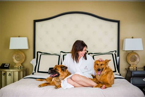 The Best Pet-Friendly Hotels In Every Southern State