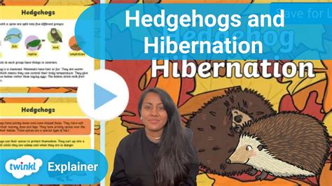 Hedgehogs and Hibernation Facts and Craft Activity - YouTube