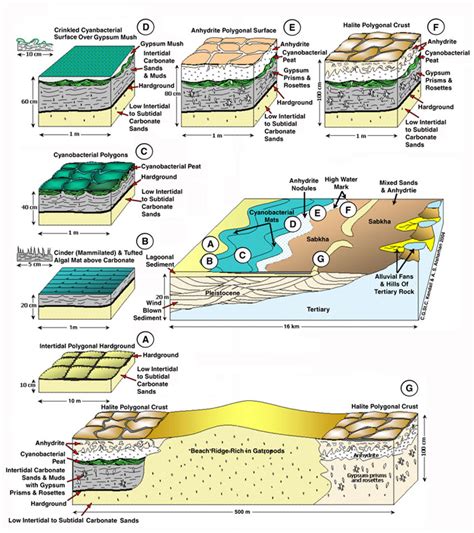 Evaporites and Aeolian - SEPM Strata