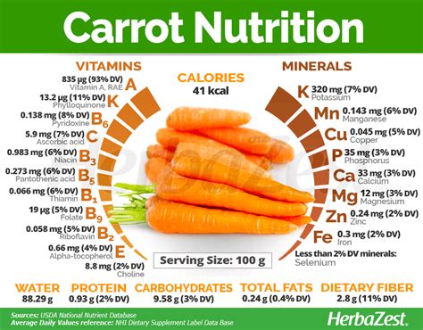 Can Hermit Crabs Eat Carrots: Unveiling the Dietary Habits of Tiny ...