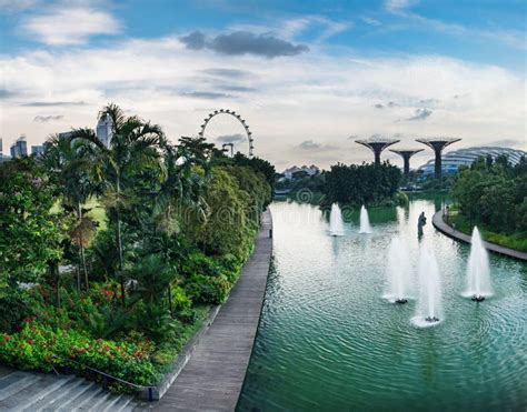 Gardens by the Bay after Rain in Singapore Editorial Stock Photo ...