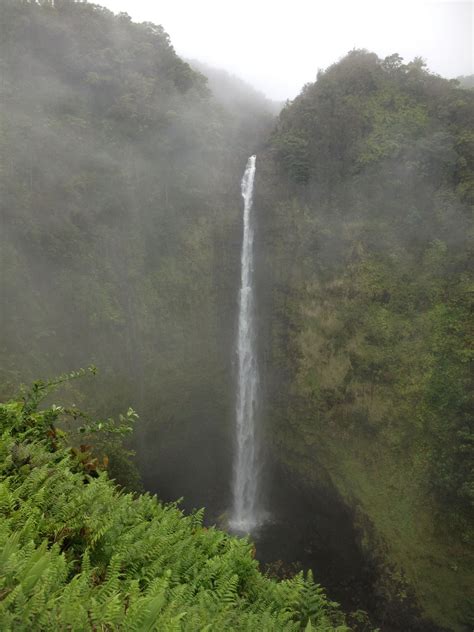 Akaka Falls, Hawaii | Favorite places, Outdoor, Waterfall