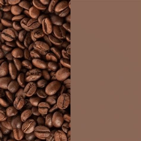 BLENDED COFFEE BEANS-RED BRICK-MILD 500g – ceyloncoffeebureau.