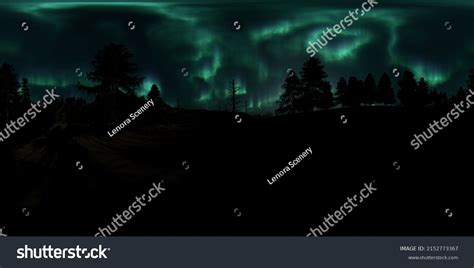 Night Forest Hdr: Over 708 Royalty-Free Licensable Stock Photos ...