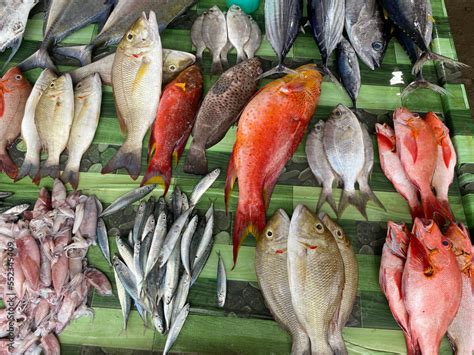 Various types of fresh fish in the traditional market Stock Photo ...