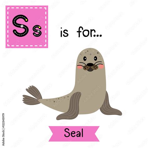 S letter tracing. Seal. Cute children zoo alphabet flash card. Funny ...