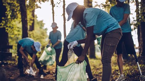 5 Good Environmental News Stories from the Past Year