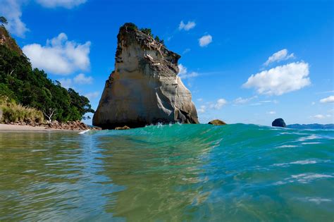 30 Hilarious Coromandel Coast Puns - Punstoppable 🛑