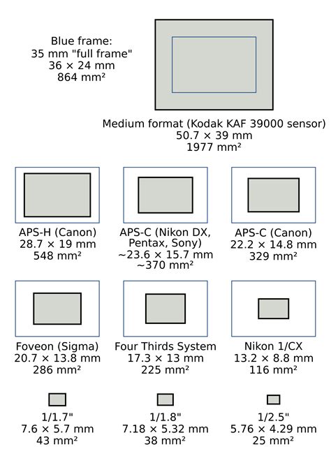 Demystifying digital camera sensors once and for all | TechHive