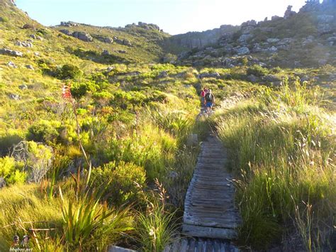 Hiking up the Twelve Apostles to Table Mountain, Cape Town