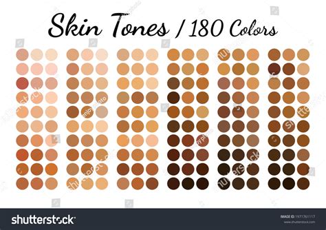 Collection Color Palette Skin Tones Flat Stock Vector (Royalty Free ...