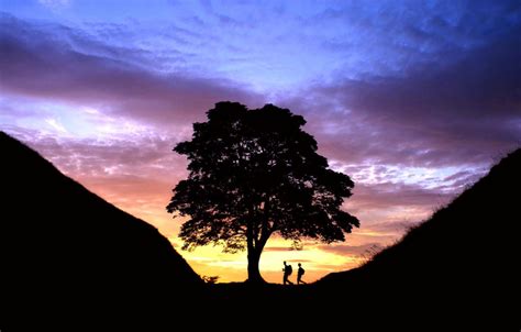 SYCAMORE GAP - HADRIAN'S WALL - HW387 | Hadrian's Wall Pictures ...