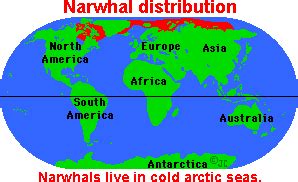 Narwhal Habitat Map