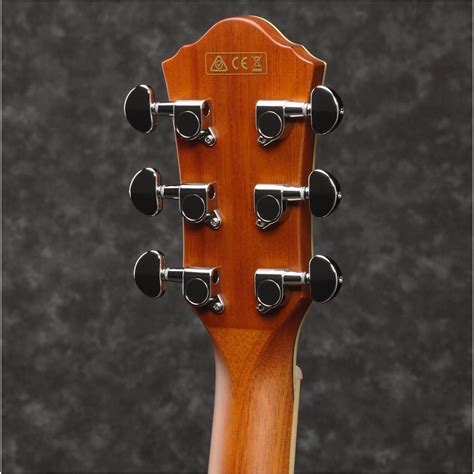 Ibanez AEG10II Grand Concert Acoustic-Electric Guitar | zZounds