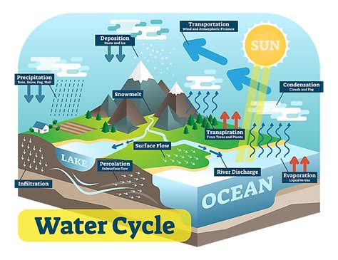 How Is Climate Change Impacting The Water Cycle? - WorldAtlas