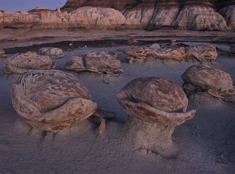 The Alien Landscape of Bisti Badlands | Amusing Planet