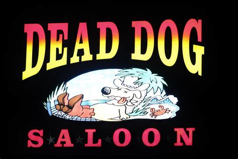 Dead Dog Saloon Photograph by Cynthia Guinn - Fine Art America